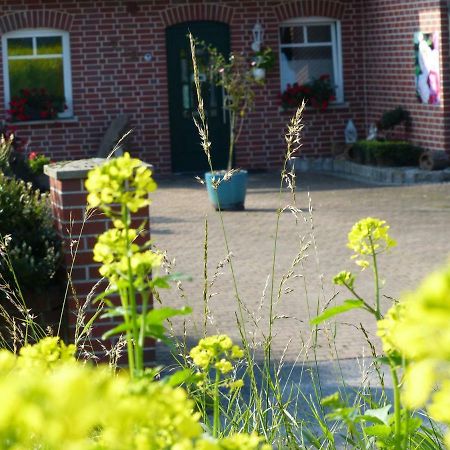 Fewo Emsland Emsbüren エクステリア 写真