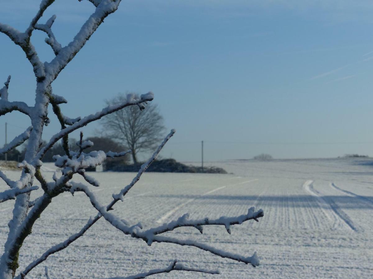 Fewo Emsland Emsbüren エクステリア 写真
